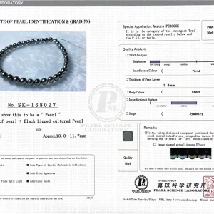 10-11.7mm Peacock Round Tahitian South Sea Pearl Necklace - Top Quality PSL Certified