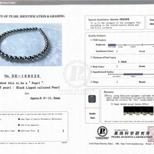 9-11.2mm Peacock Tahitian South Sea Pearl Necklace - PSL Certified