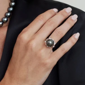 Tahitian South Sea Pearl & Diamond Robin Ring